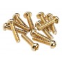 FENDER Pickup and Selector Switch Mounting Screws Gold (12pcs)