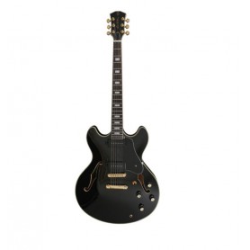 LARRY CARLTON H7V Black