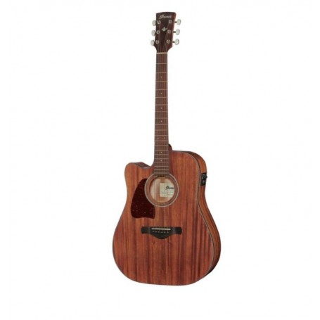 IBANEZ AW54LCE Open Pore Natural (mancina)