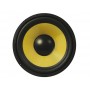 FENTON Woofer 5.25" Kevlar Cone 100W RMS
