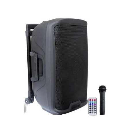 GEMINI AS-2112 ToGo - 750 Watt RMS