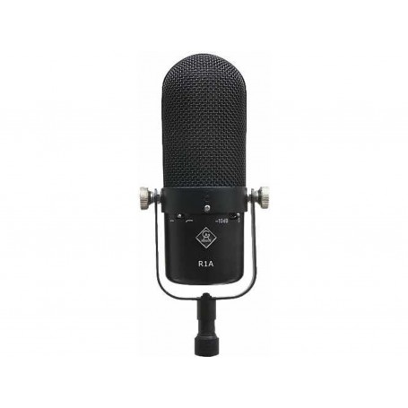 GOLDEN AGE PREMIER Golden Age Project R1a