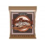 ERNIE BALL 2153 Earthwood Phosphor Bronze Acoustic 12-Strings