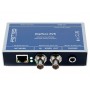 RME Digiface AVB