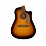 FENDER Redondo Player WN Gold Pickguard Sunburst