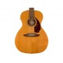 FENDER VIllager 12-String WN Aged Natural