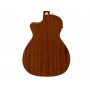 FENDER Newporter Player WN Gold Pickguard Natural