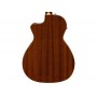 FENDER Newporter Player WN Gold Pickguard Sunburst