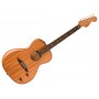 FENDER Highway Series Parlor RW All-mahogany