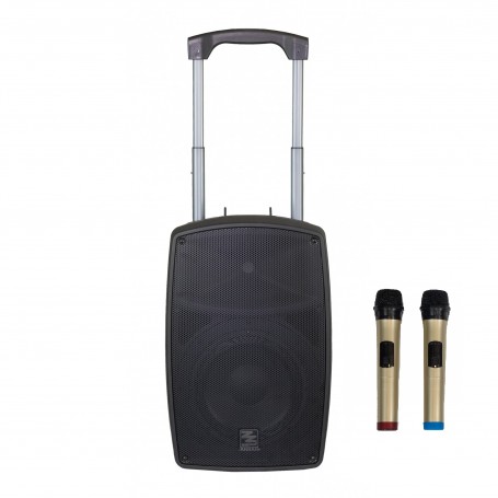 ZZIPP IGAN 110 - Cassa Amplificata a Batteria con Due Radiomicrofoni - 145 Watt RMS