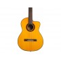 TAKAMINE GC5CE Natural ( Classica )