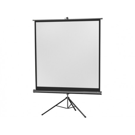 CELEXON 1090018 (244x244cm)