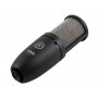 AKG P220