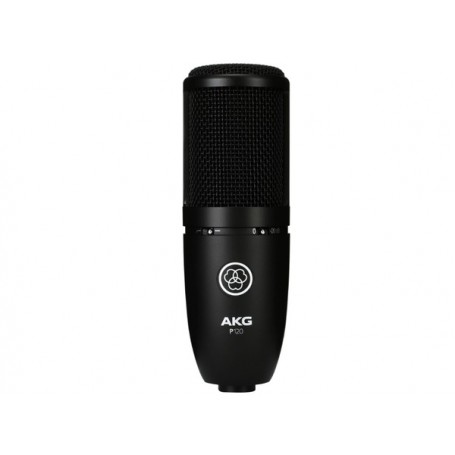 AKG P120