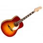 FENDER Palomino Vintage OV Aged Sienna Sunburst