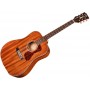 GUILD D-120 Natural Westerly