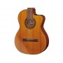 TAKAMINE GC3CE-NAT