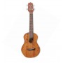 TAKAMINE GUC1