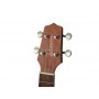 TAKAMINE GUC1