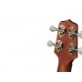 TAKAMINE GUC1