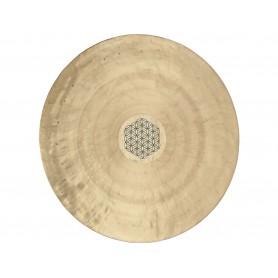 SONIC ENERGY Wgfol16