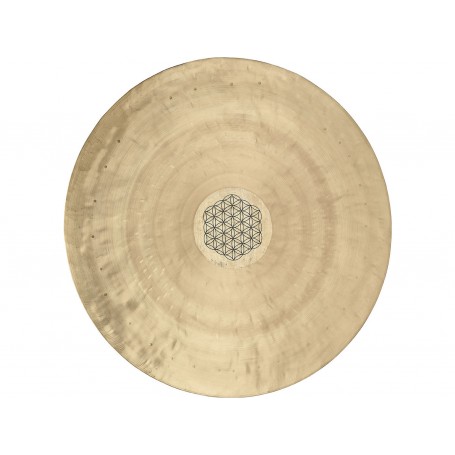 SONIC ENERGY Wgfol16