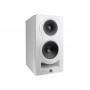 KALI AUDIO In-5 Monitor Triamplificato