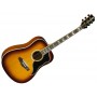 EKO Ranger VI VR EQ Honey Burst