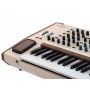 ARTURIA PolyBrute 12