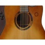 YAMAHA Transacoustic TAG3 C Sunburst