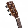 CORT Ga-pf Bevel Nat