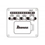 IBANEZ TCY621-BOT Black Out