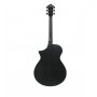 IBANEZ AEWC621 Black Out