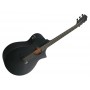 IBANEZ AEWC621 Black Out