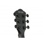IBANEZ AEWC621 Black Out
