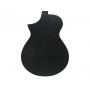 IBANEZ AEWC621 Black Out