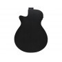 IBANEZ AEG721 Black Out