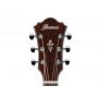IBANEZ AE170 NTR