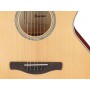 IBANEZ AE170 NTR