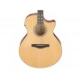 IBANEZ AE170 NTR