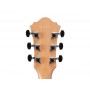 IBANEZ AE170 NTR