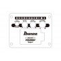 IBANEZ AEG721 BOT Black Out