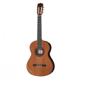 RAMIREZ Estudio 3 Cedar