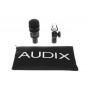AUDIX D2