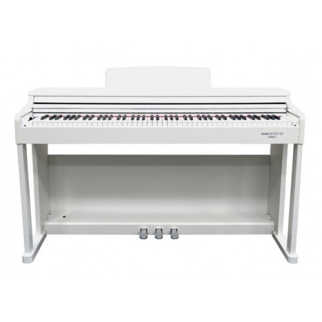ECHORD DPX100 Satin White