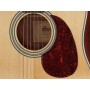 CORT MR500E Open Pore Natural
