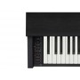 CASIO AP-270 Celviano Black