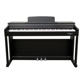 ECHORD DPX100 Satin Black