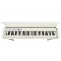KORG C1 Air White Ash