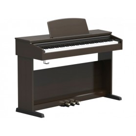 ORLA CDP1 RW Rosewood